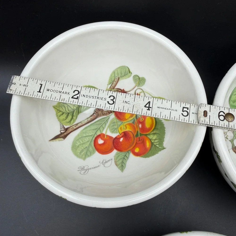 Vtg Portmeirion Pomona Cereal Bowls Set 4 Fruit Botanical Cottagecore 5 1/4 Inch